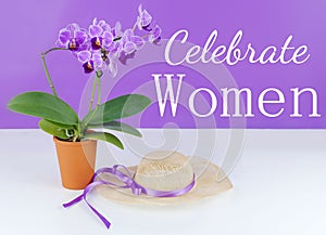 Orchidaceae Phalaenopsis, or moth orchid in terrac cotta pot on a purple and white background with a spring style straw hat. Women photo