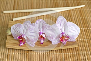 Orchids on bamboo mat abstract asian food unique concept