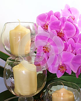 Orchids & Candles