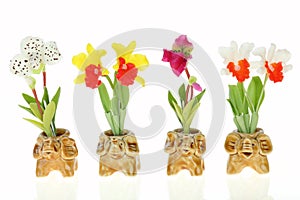Orchids in elephant pot