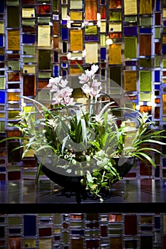 Orchids in a Floral Arrangement