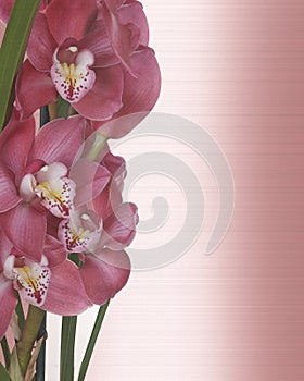 Orchids Floral Satin Invitation border