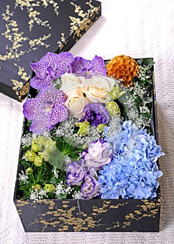 Orchids and flower in the box