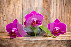 Orchids flowers on wooden background spa massage stones