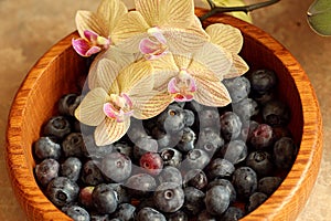 Orchids Love Blueberries