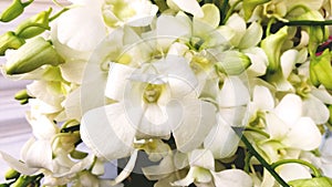 Orchids are monocotyledons of the Orchidaceae family. They are popular cut flowers. Because of the beautiful flower and colorful p photo