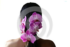 Orchids and pony tail