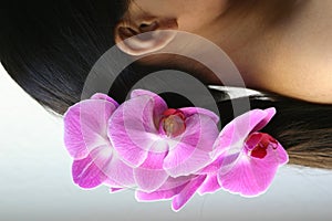 Orchids and ponytail