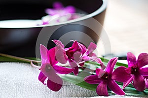 Orchids in spa setting