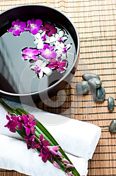 Orchids in spa setting