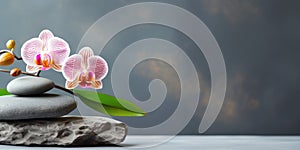 Orchids on stones, dark background, top view, space for text, your product, Generative AI