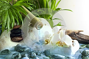 Orchids and zen stones with falling water