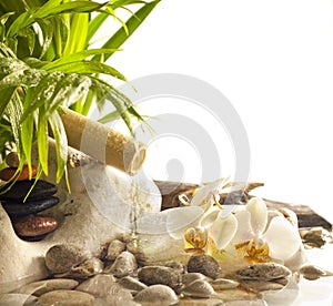 Orchids and zen stones with falling water