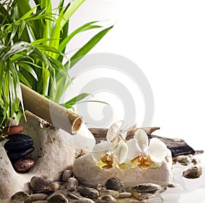 Orchids and zen stones on water spa concept