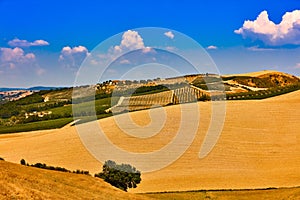 Orcia valley landscape Tuscany landscape Italy landmark