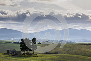 Orciano Pisano, Tuscany, Italy, landscape. Grass, house photo