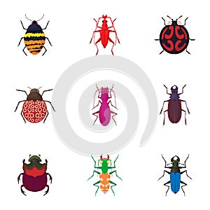 Order coleoptera icons set, cartoon style