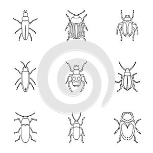 Order coleoptera icons set, outline style