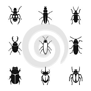 Order coleoptera icons set, simple style