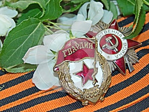 Order `Great patriotic war`, sign of `Guards` on the background of the blooming Apple tree and of the St. George`s ribbon.