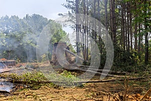 In order to clear land for a subdivision of housing, tractors skid steers were used