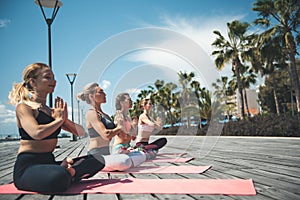 Orderly women practicing yoga on mats