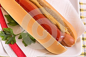 Ordinary hotdog