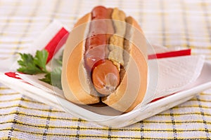 Ordinary hotdog