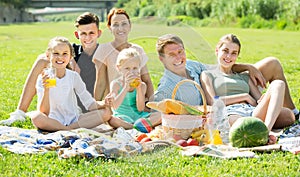 ordinary large family of six having picnic on green lawn in park