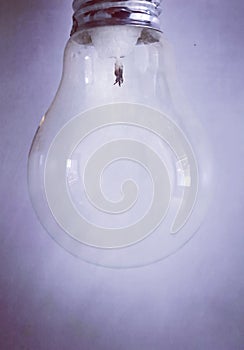 An ordinary light bulb with a candle inserted instead of wires as an indicator of the coming crisis.