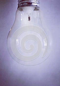 An ordinary light bulb with a candle inserted instead of wires as an indicator of the coming crisis. photo
