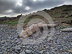 An ordinary winter day