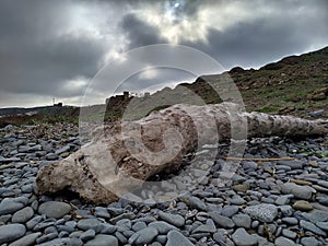 An ordinary winter day