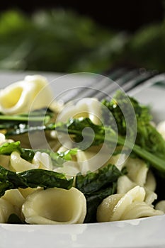 Orecchiette with Cime di Rapa