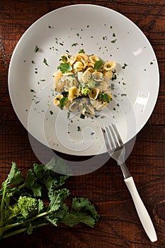 Orecchiette with Cime di Rapa photo