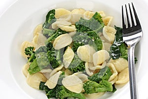 Orecchiette con le cime di rapa , italian pasta