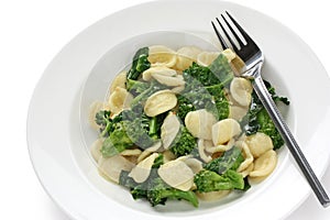 Orecchiette con le cime di rapa , italian pasta photo