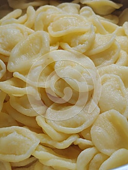 orecchiette fresh pasta. Handmade italian pasta.