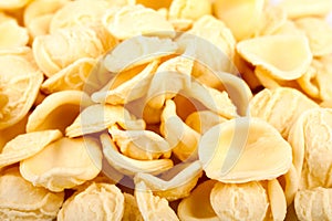 Orecchiette Pasta