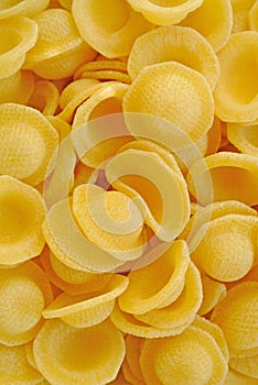 Orecchiette pasta photo
