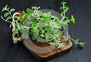 Oregano aromatic herb bunch on wooden board