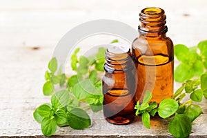 Oregano essential oil in the amber glass bottle and fresh oregano leaves