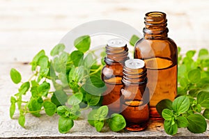 Oregano essential oil in the amber glass bottle and fresh oregano leaves