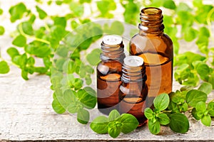 Oregano essential oil in the amber glass bottle and fresh oregano leaves