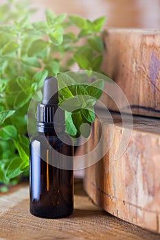 Oregano essential oil and fresh leaves
