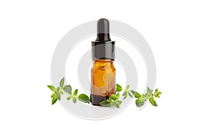 Oregano essential oil and fresh oregano leaves isolated on white background