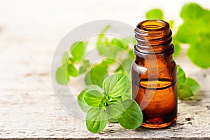 Oregano essential oil and fresh oregano leaves on the wooden board