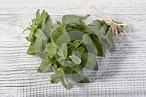 Oregano herb bunch photo