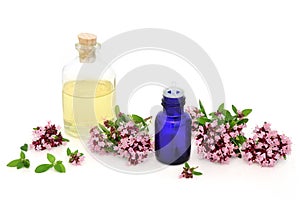 Oregano Herb Essential Oil Herbal Medicine