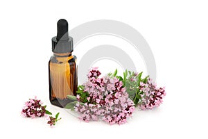 Oregano Herbal Medicine Essential Oil